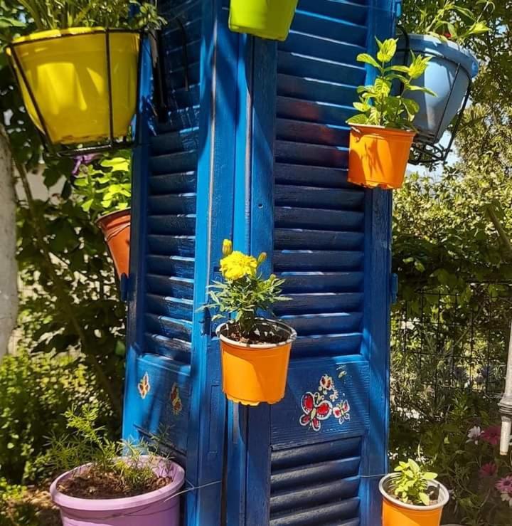 Apartament Το Σπίτι Της Ελένης Vlachia Zewnętrze zdjęcie