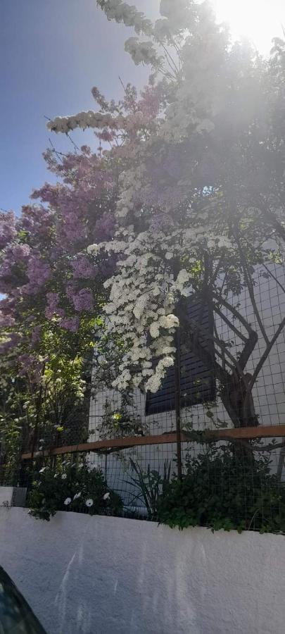 Apartament Το Σπίτι Της Ελένης Vlachia Zewnętrze zdjęcie