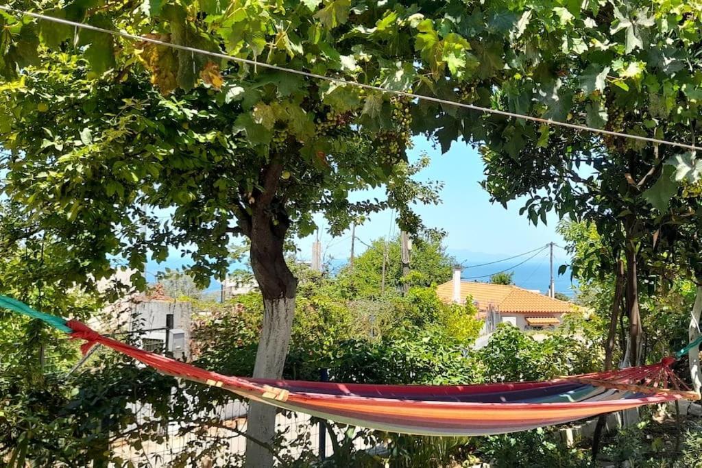 Apartament Το Σπίτι Της Ελένης Vlachia Zewnętrze zdjęcie