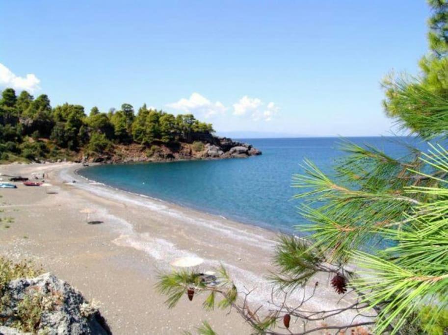 Apartament Το Σπίτι Της Ελένης Vlachia Zewnętrze zdjęcie