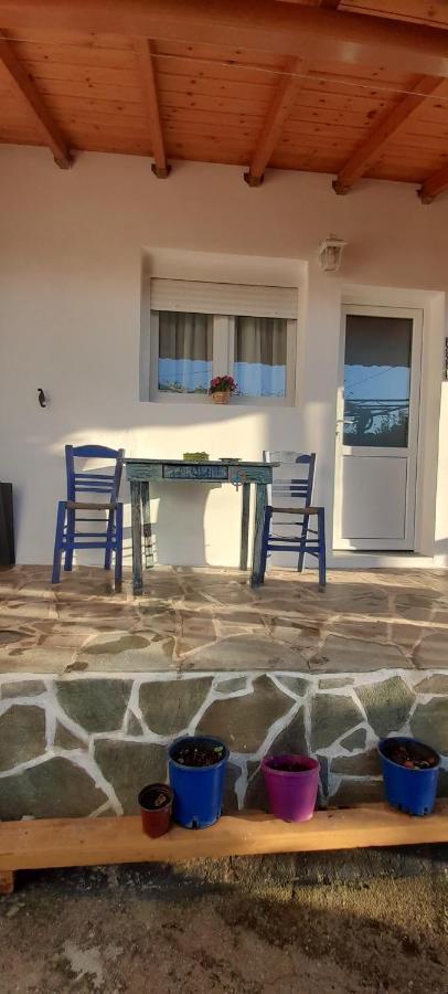 Apartament Το Σπίτι Της Ελένης Vlachia Zewnętrze zdjęcie