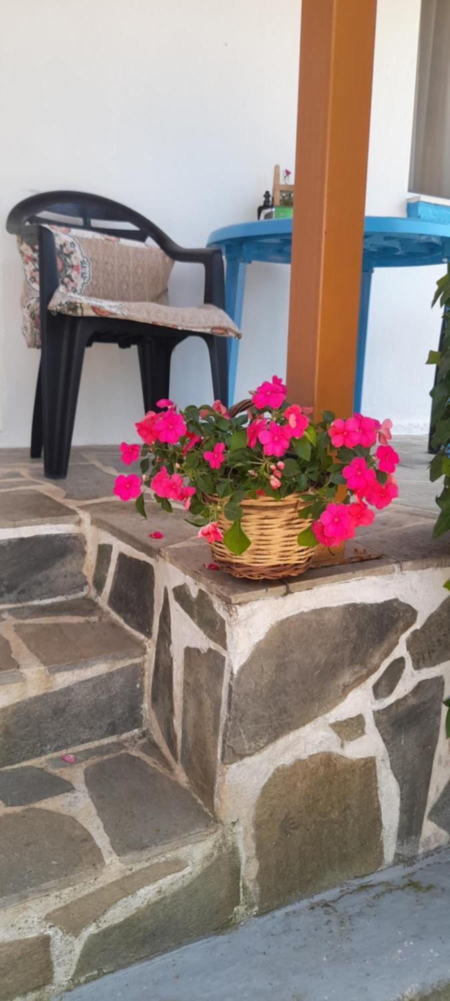 Apartament Το Σπίτι Της Ελένης Vlachia Zewnętrze zdjęcie