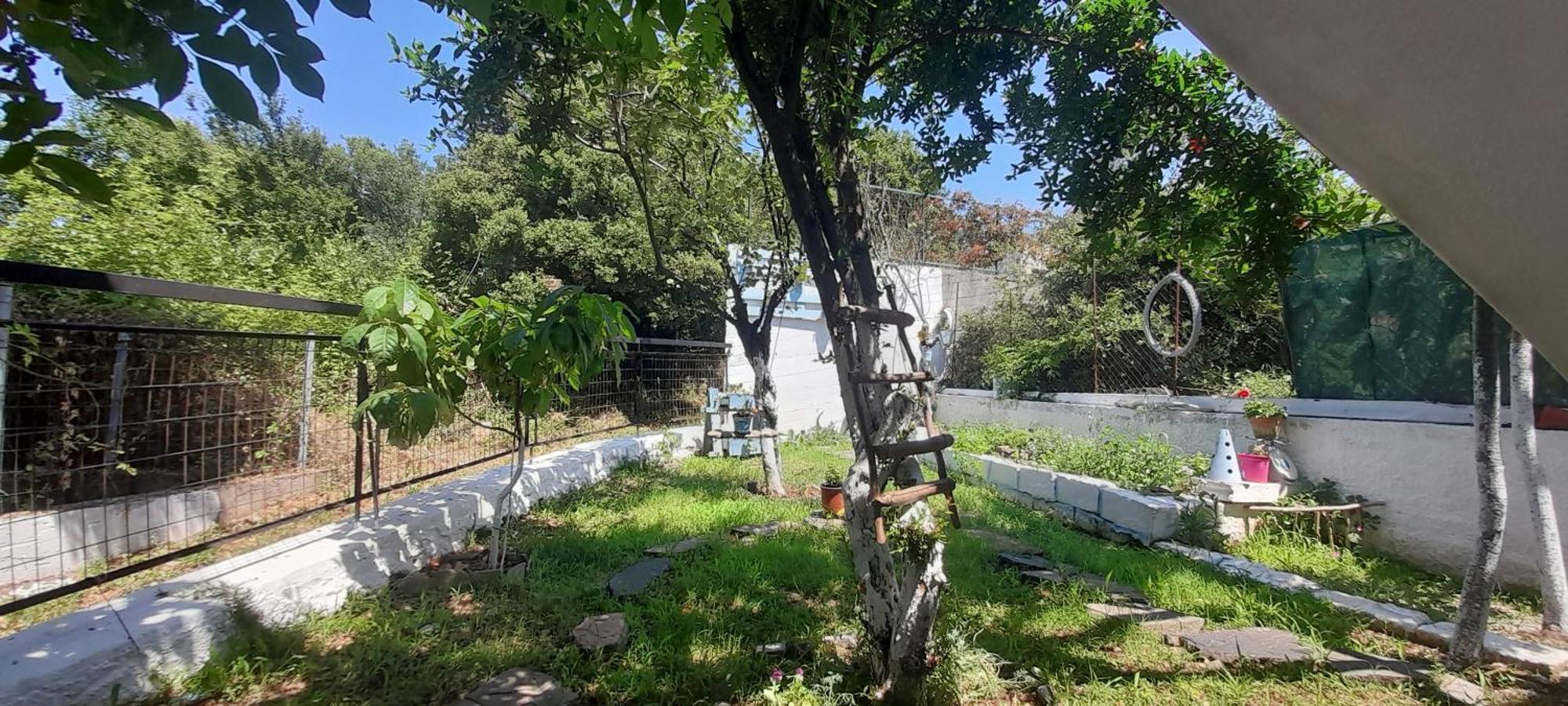Apartament Το Σπίτι Της Ελένης Vlachia Zewnętrze zdjęcie