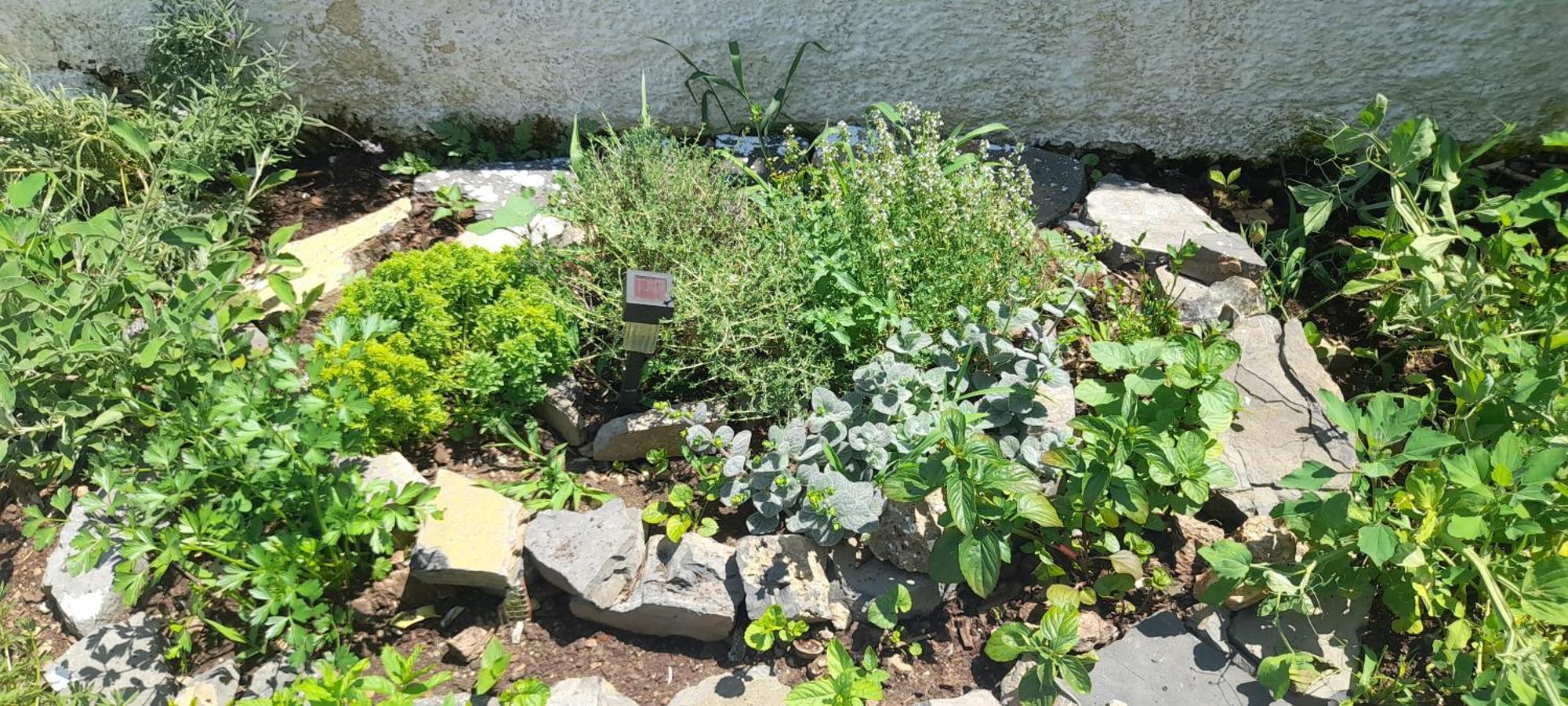 Apartament Το Σπίτι Της Ελένης Vlachia Zewnętrze zdjęcie